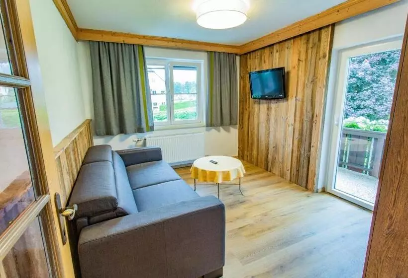 آپارتمان 1 خوابه با چشم‌انداز, Aktivhotel Pehab