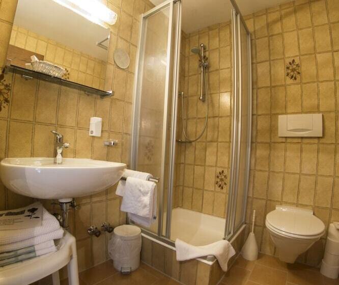 اتاق استاندارد یک نفره, Alpenhotel Fernau