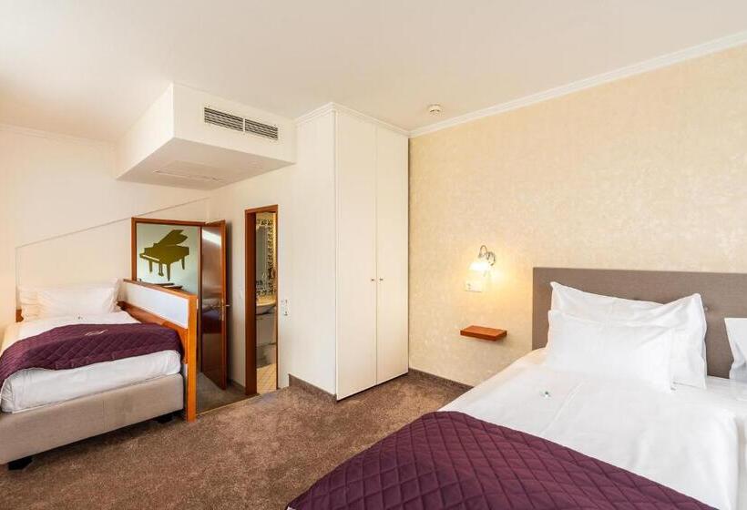 اتاق سوپریور, Am Schubertring