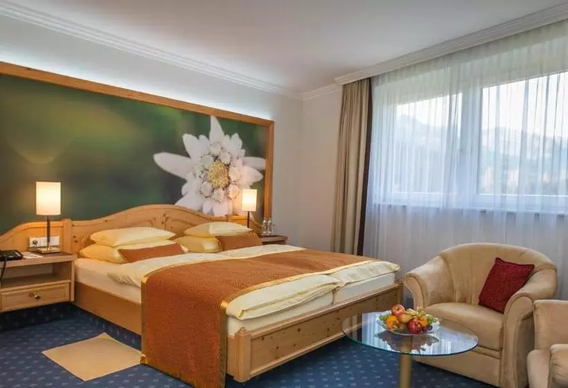 اتاق سوپریور, Europäischer Hof Aktivhotel & Spa