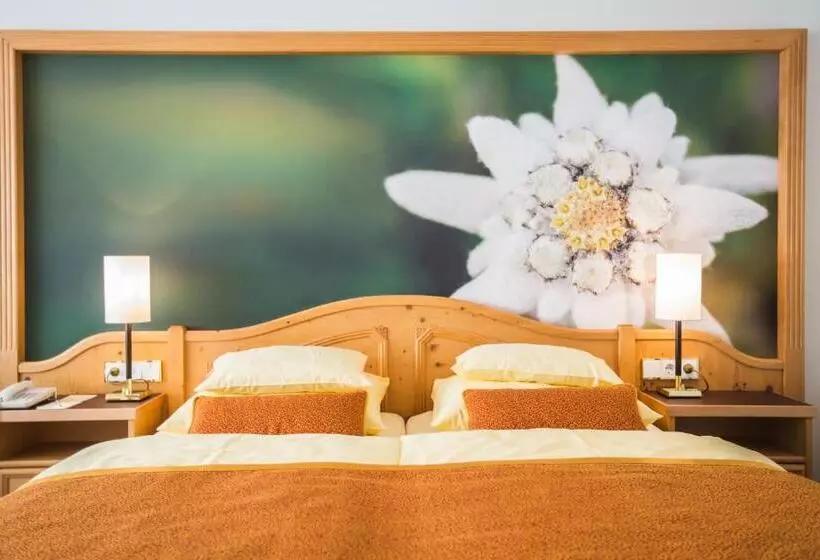 اتاق لوکس, Europäischer Hof Aktivhotel & Spa