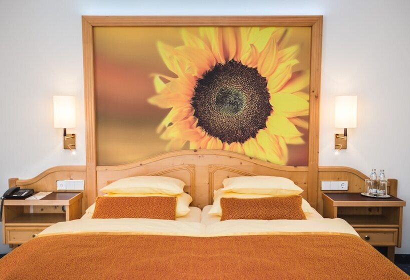 اتاق کلاسیک, Europäischer Hof Aktivhotel & Spa