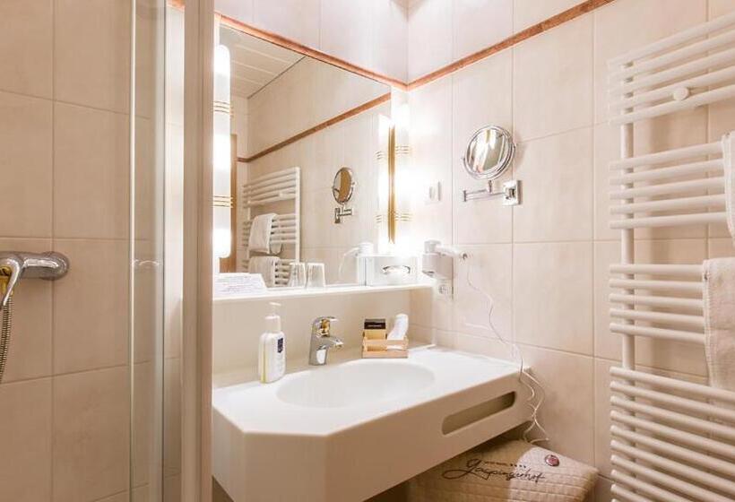 Номер Стандарт Индивидуальный, Gaspingerhof