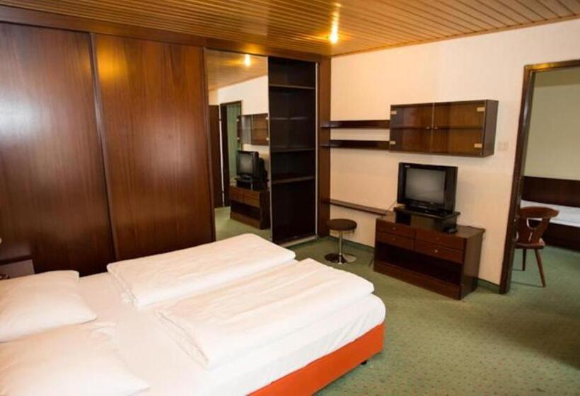 اتاق استاندارد چهار تخته, Hadrigan