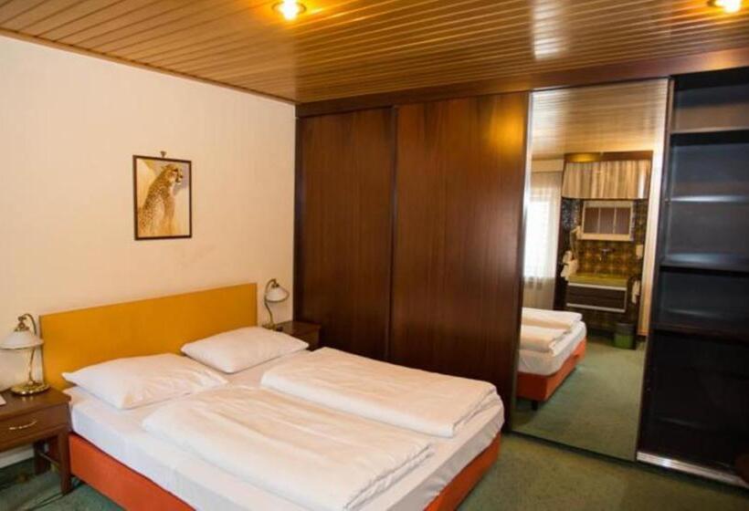 اتاق استاندارد چهار تخته, Hadrigan