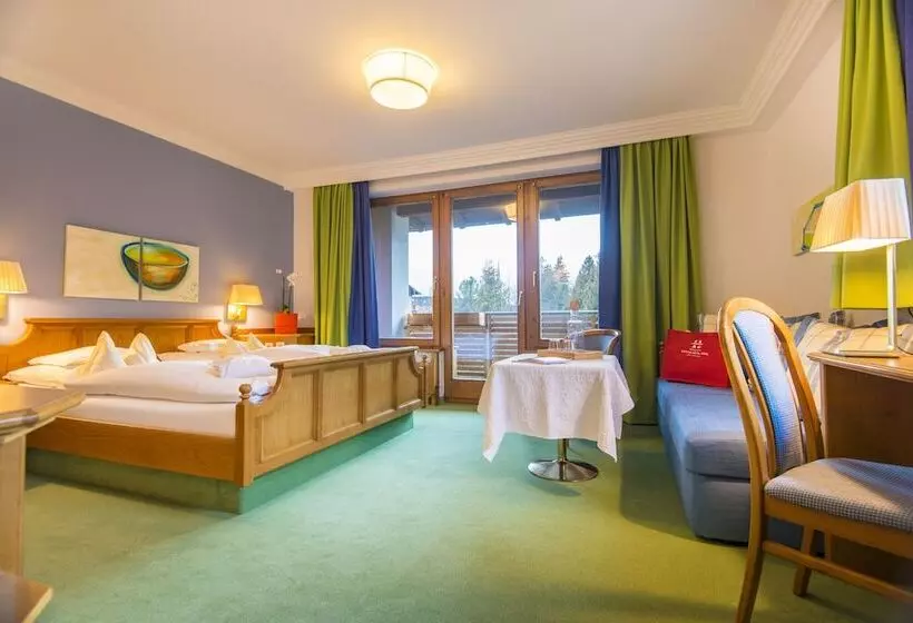 اتاق استاندارد با چشم‌انداز کوهستان, Impuls Hotel Tirol