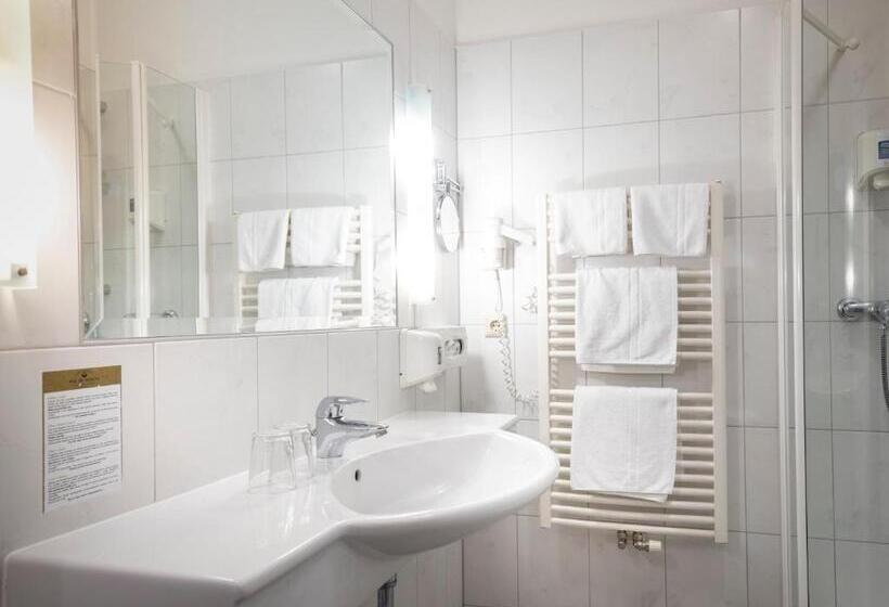 스탠다드 발코니 룸, Moarhof