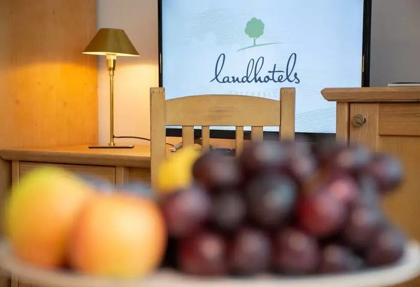 اتاق استاندارد, Landhotel Post Ebensee Am Traunsee S