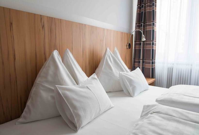 스탠다드 룸 공동 욕실, Pension Dr. Geissler