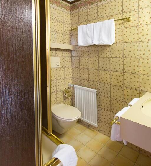 Номер Economy Индивидуальный, Schlosshotel Dörflinger