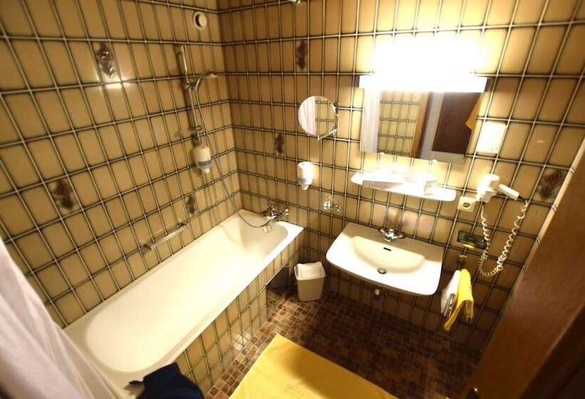 Standart Tek Kişilik Oda, Thermal Badhotel Kirchler