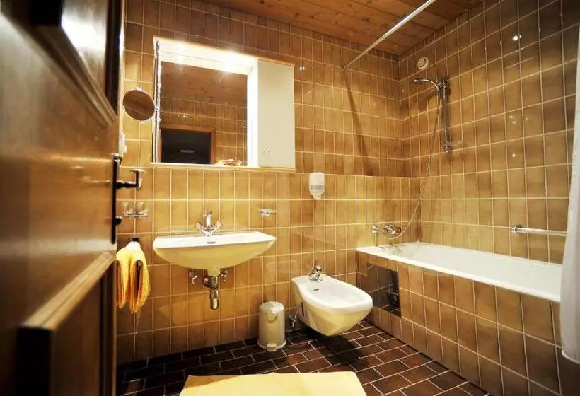 Standard Yhden Hengen Huone, Thermal Badhotel Kirchler