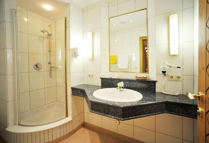 Odalı Tek Kişilik Standart Oda, Thermal Badhotel Kirchler