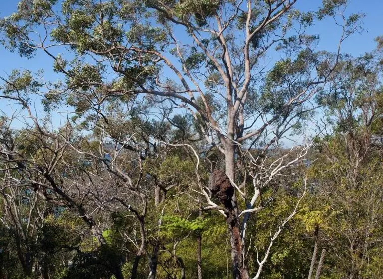 ガーデンビュースタンダードルーム, Bannisters Port Stephens