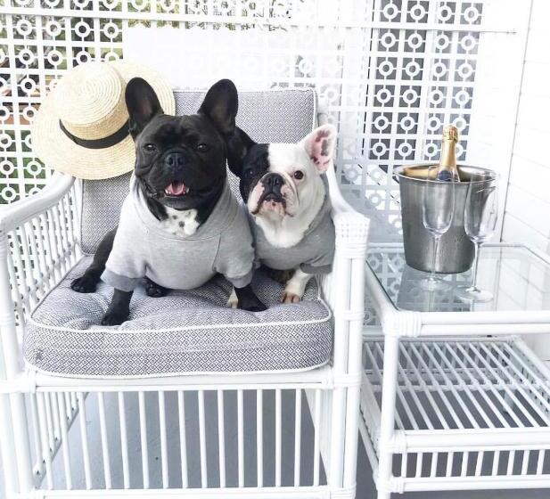 חדר סטנדרט, Bannisters Port Stephens