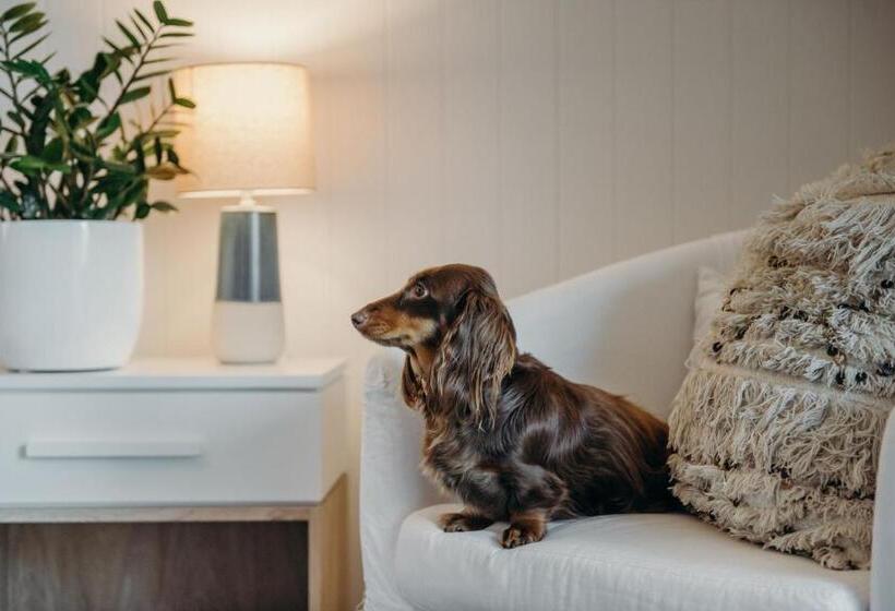 סוויטה דלוקס, Bannisters Port Stephens