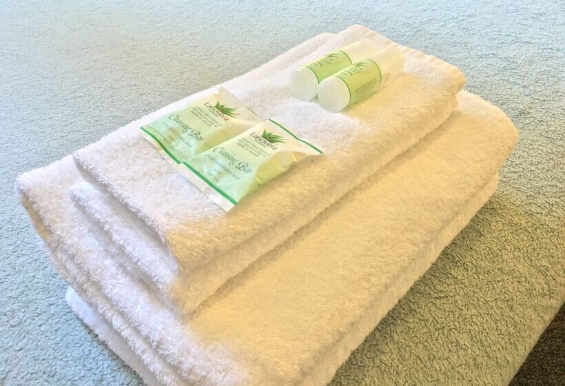 Четырехместный Номер Стандарт, Criterion Hotel Perth