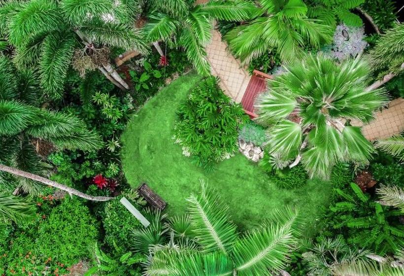 جناح سرير كينج, Cairns Harbourside