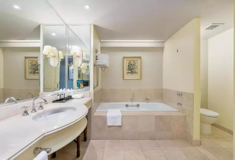 اتاق سوپریور با چشم‌انداز رودخانه, Stamford Plaza Brisbane