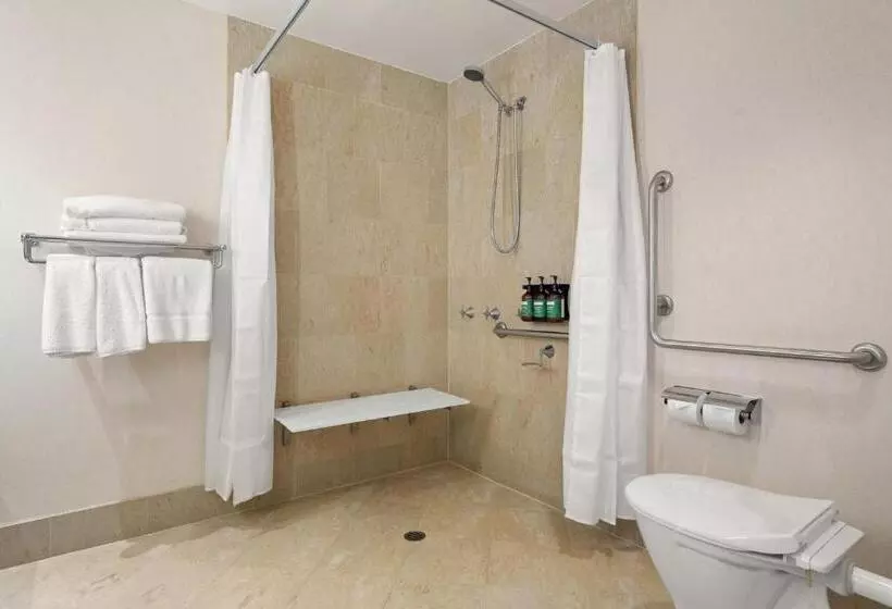 اتاق استاندارد برای معلولان, Crowne Plaza Surfers Paradise, An Ihg
