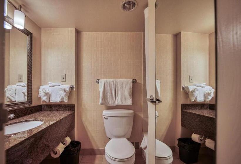 Номер Стандарт, Amenida Residences, Calgary