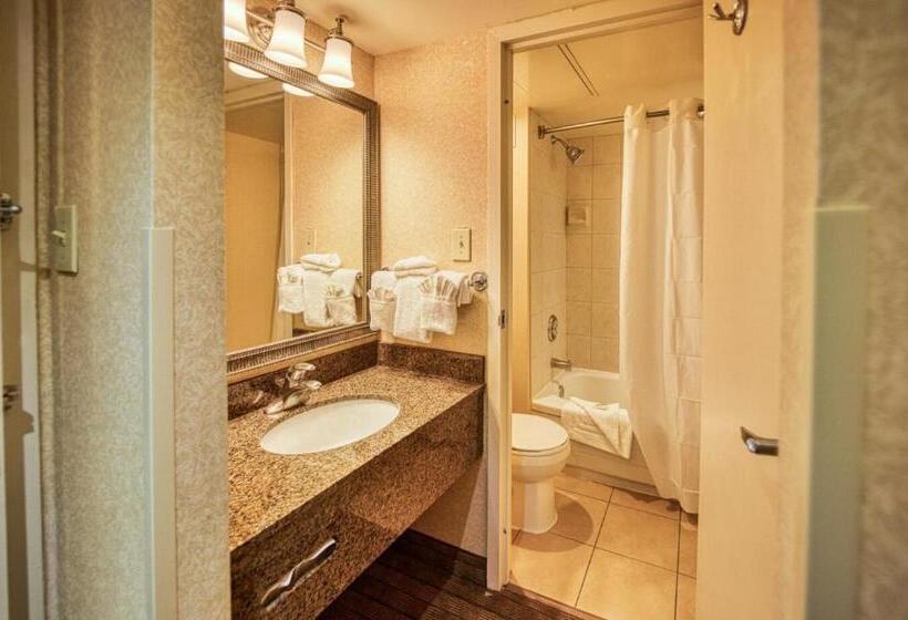 Стандартный Номер Кровать Кинг, Amenida Residences, Calgary