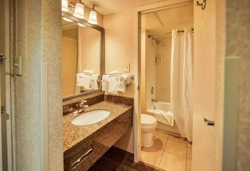 اتاق استاندارد با تخت بزرگ, Amenida Residences, Calgary