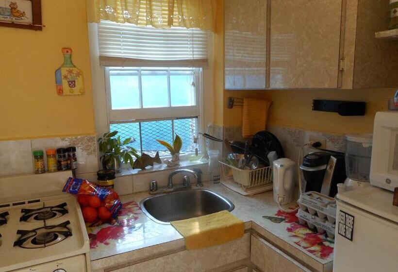 استودیوی استاندارد, Blue Horizons Guest House