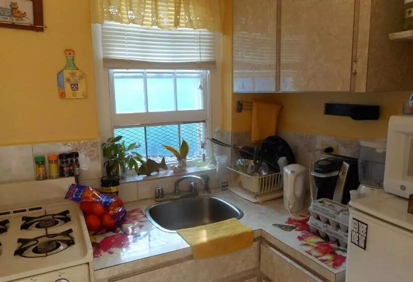 استودیوی استاندارد, Blue Horizons Guest House