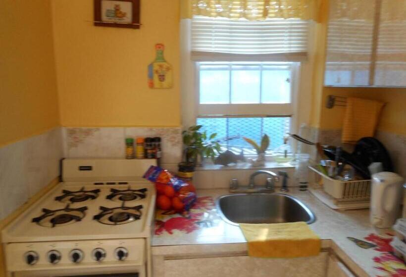 استودیوی استاندارد, Blue Horizons Guest House