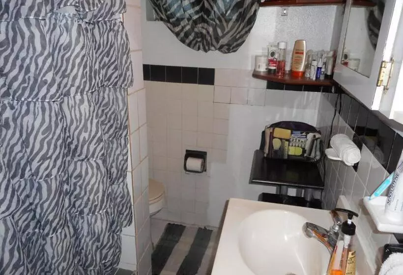 استودیوی استاندارد, Blue Horizons Guest House