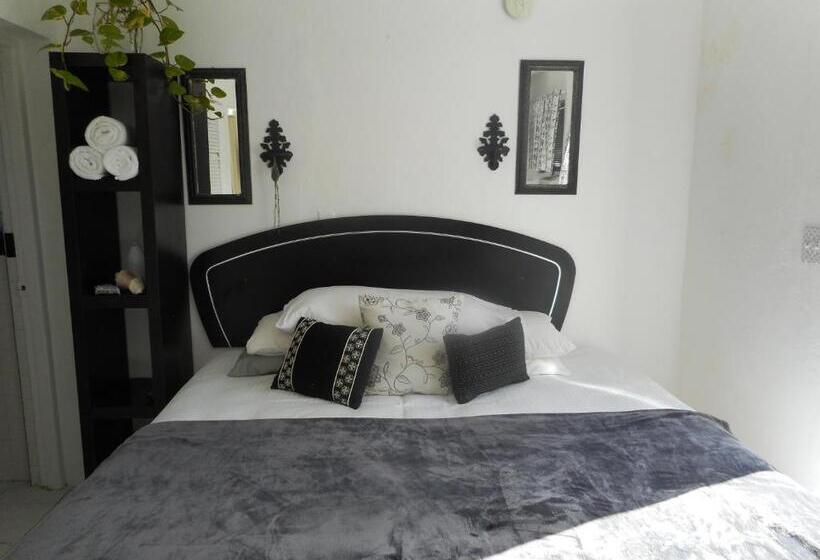 استودیوی استاندارد, Blue Horizons Guest House