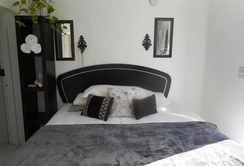 استودیوی استاندارد, Blue Horizons Guest House