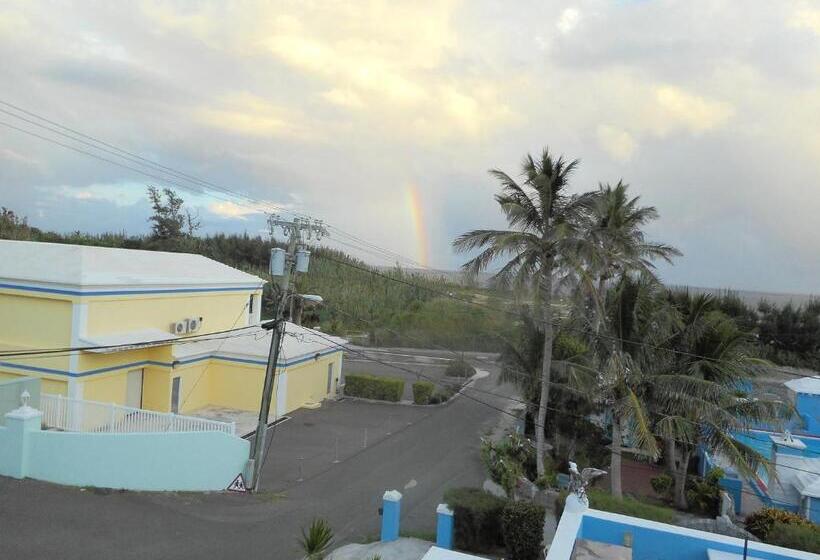 اتاق استاندارد یک نفره, Blue Horizons Guest House