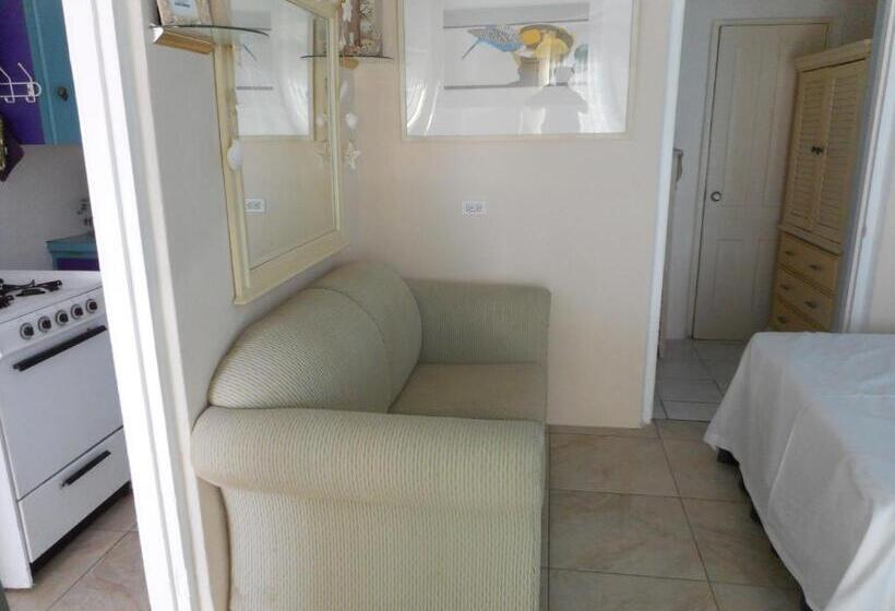 استودیو استاندارد با تخت کینگ, Blue Horizons Guest House