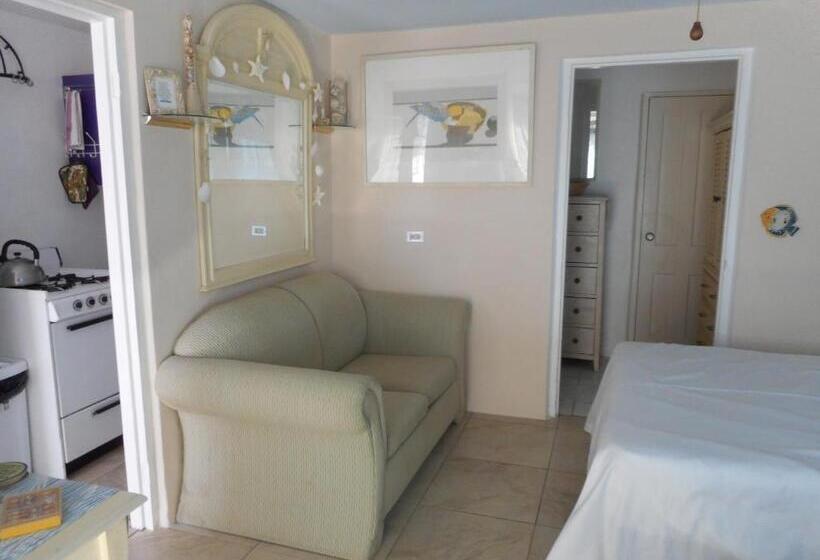 استودیو استاندارد با تخت کینگ, Blue Horizons Guest House