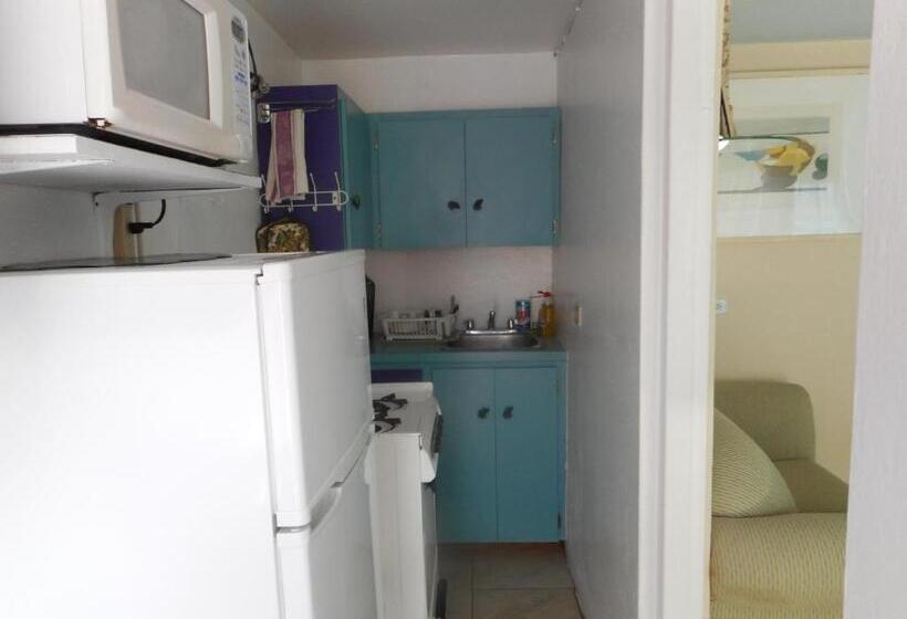 استودیو استاندارد با تخت کینگ, Blue Horizons Guest House