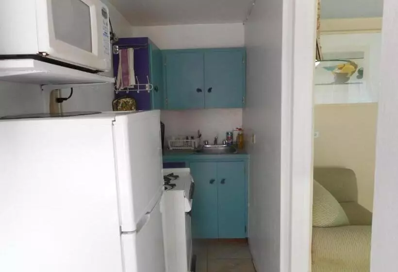 استودیو استاندارد با تخت کینگ, Blue Horizons Guest House