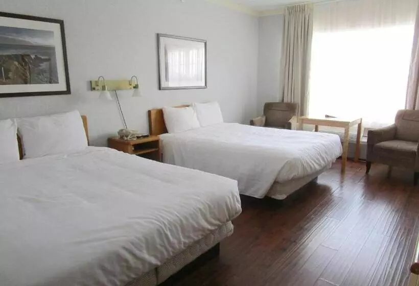 ２ダブルベッドのスタンダードルーム, Claymore Inn And Suites