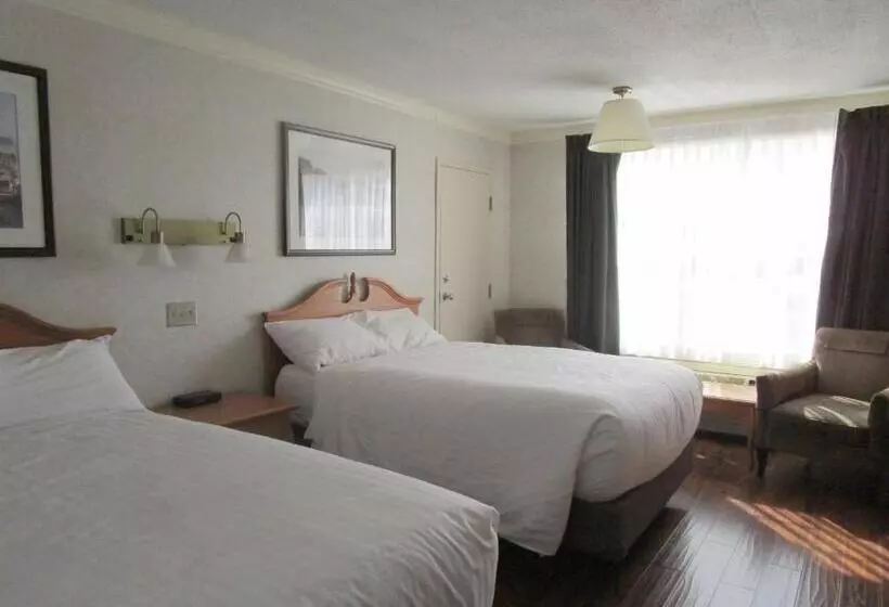 エクゼクティブルーム, Claymore Inn And Suites