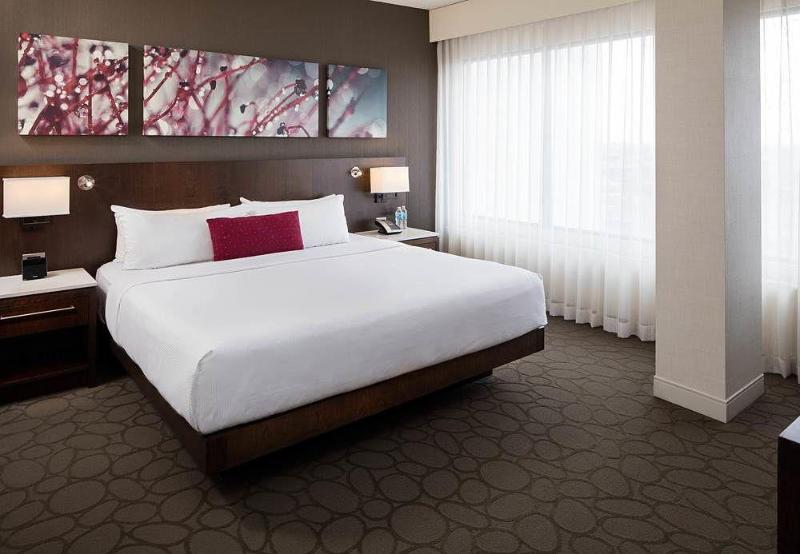 חדר סטנדרט עם מיטת קינג, Delta Hotels By Marriott Edmonton South Conference Centre