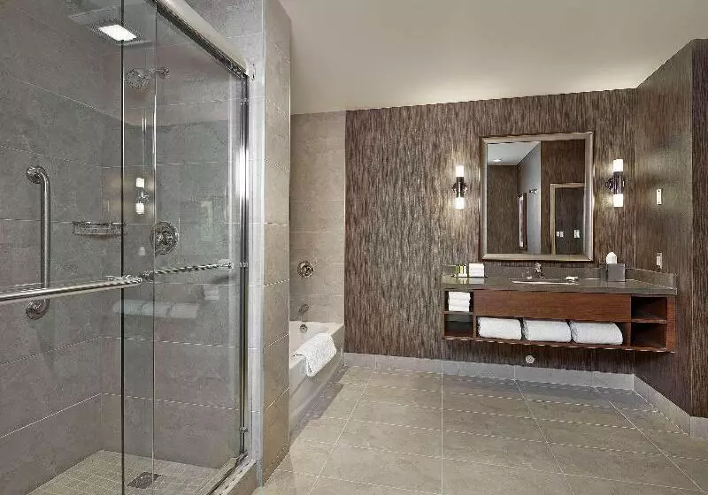 سوئیت با تخت بزرگ, Doubletree By Hilton Hotel West Edmonton