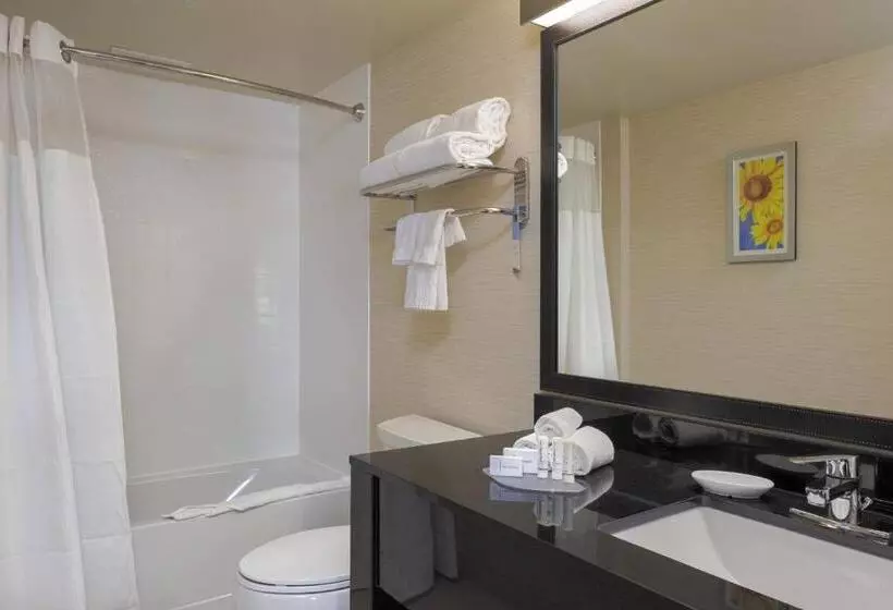 キングサイズベッドのスタンダードルーム, Fairfield Inn & Suites By Marriott Belleville