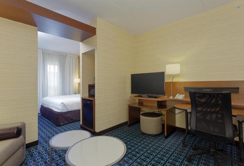 带大床的套房, Fairfield Inn & Suites By Marriott Belleville