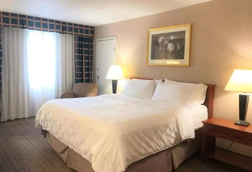 اتاق استاندارد با تخت بزرگ, Amenida Residences, Calgary