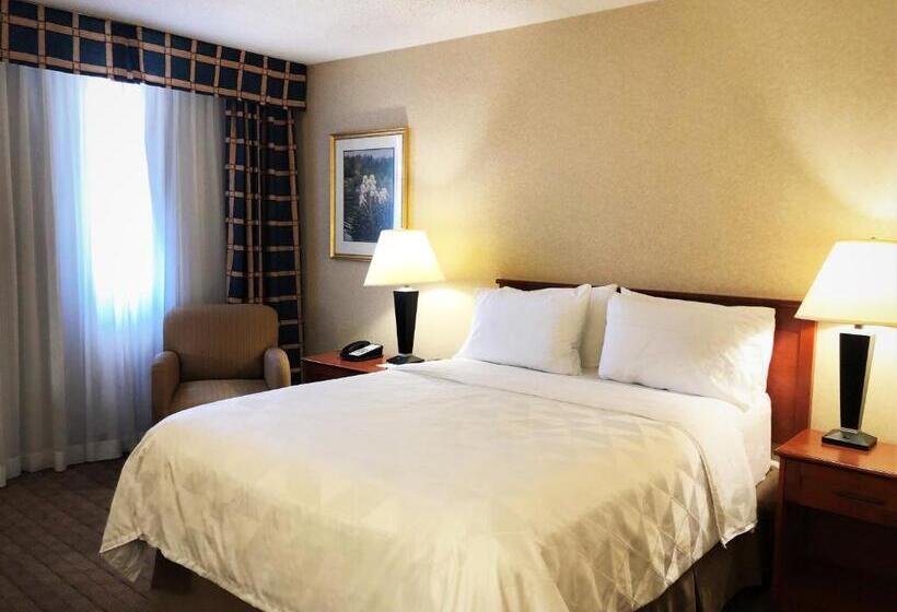 スタンダードルーム, Amenida Residences, Calgary