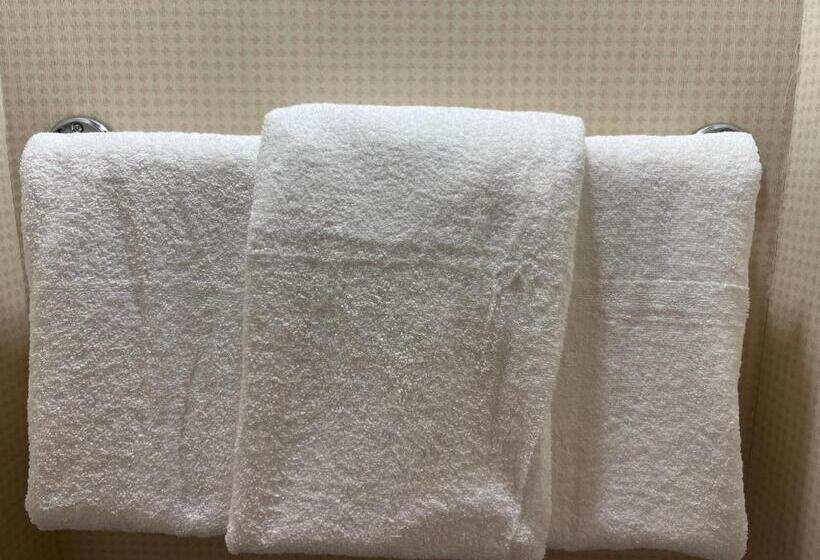 Номер Стандарт 2 Двуспальные Кровати, Amenida Residences, Calgary