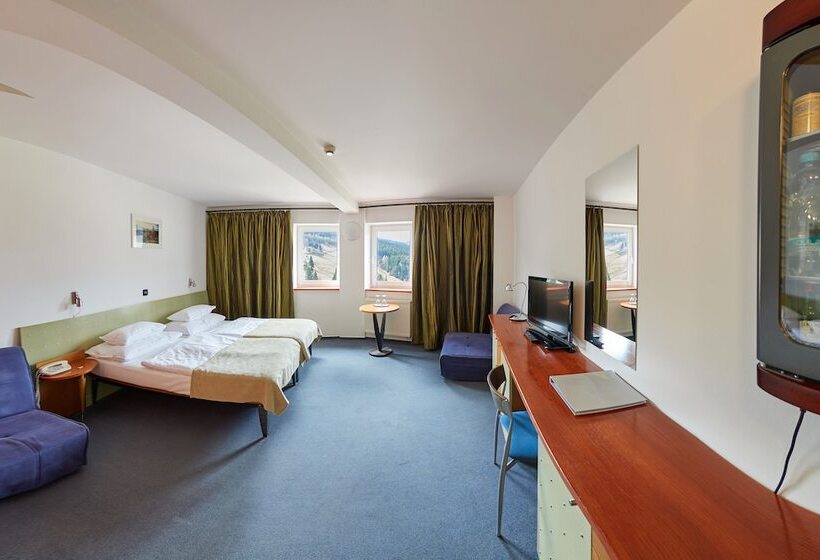 חדר סטנדרט, Horizont