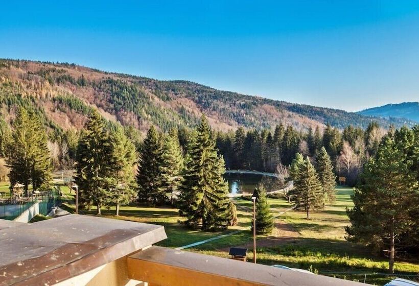 古典房间, Partizan