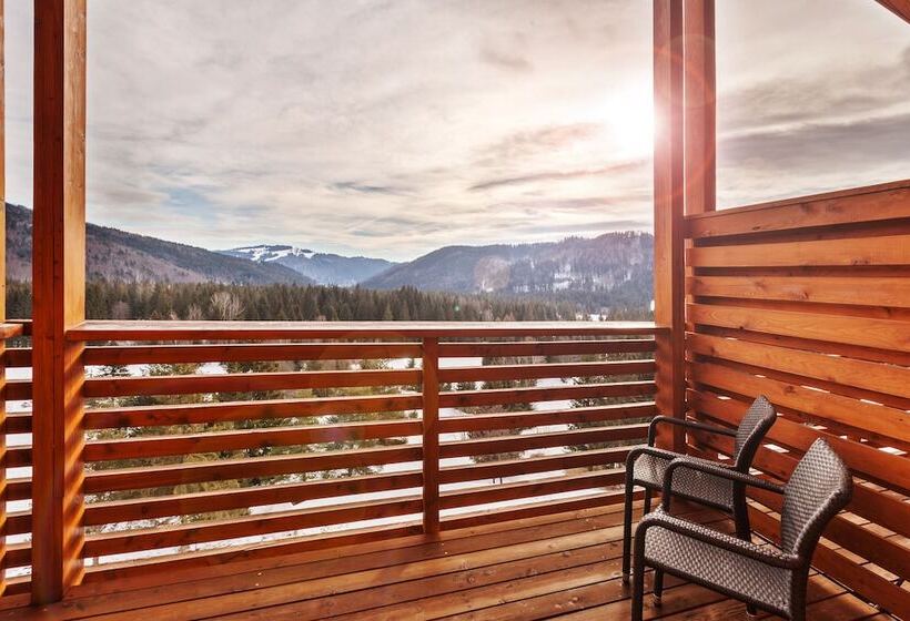 复式套房, Partizan